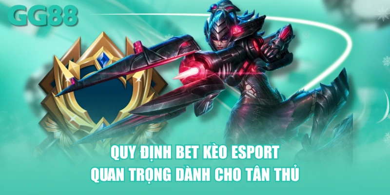 Quy định bet kèo Esport quan trọng mà tân thủ buộc phải nắm được