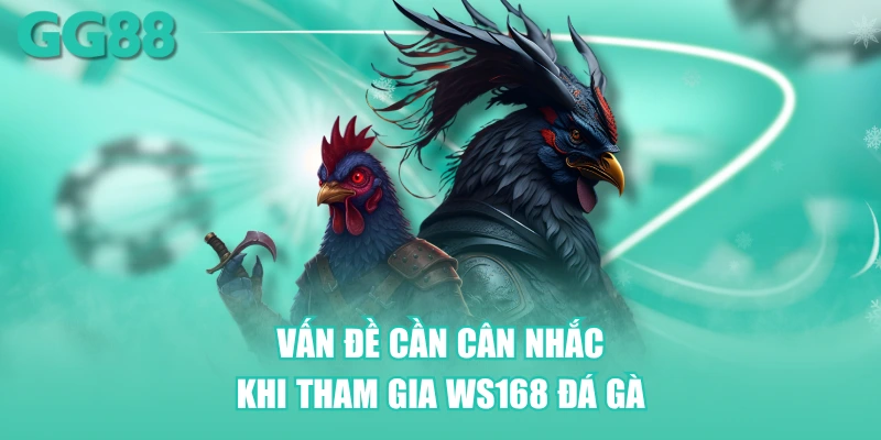 Vấn đề cần cân nhắc khi tham gia WS168 đá gà